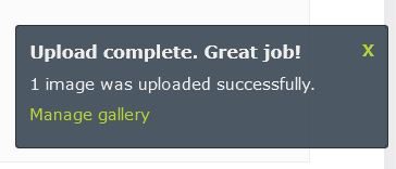 visualcomposer-gallery-09